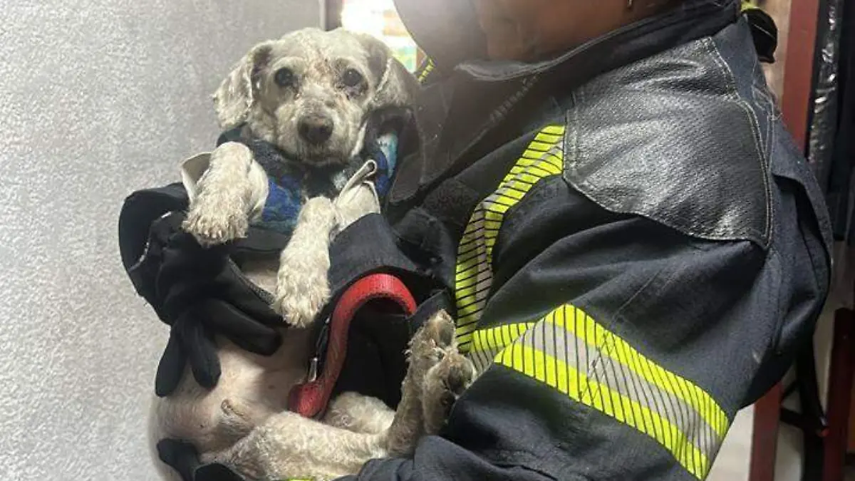 598a7db7-b5a1-4f54-8723-cc8021adf937