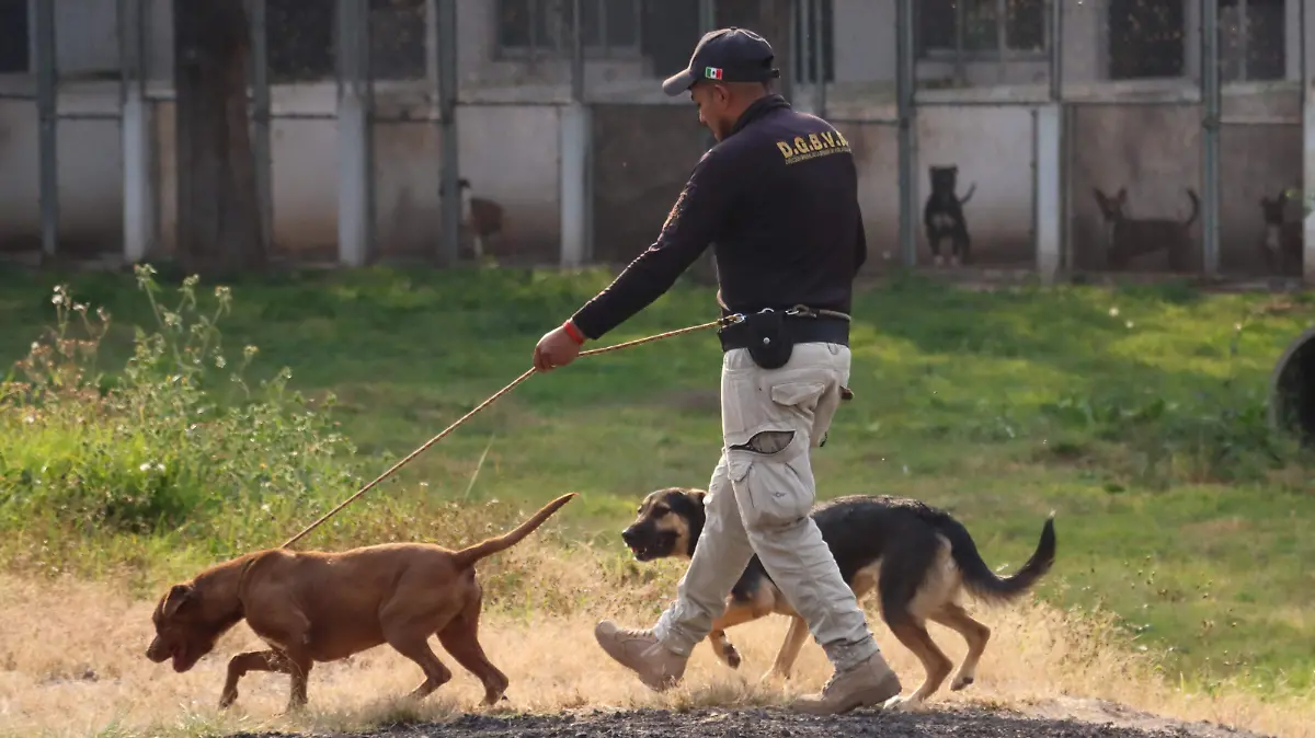 BRIGADA DE VIGILANCIA ANIMAL DE LA SSC-07