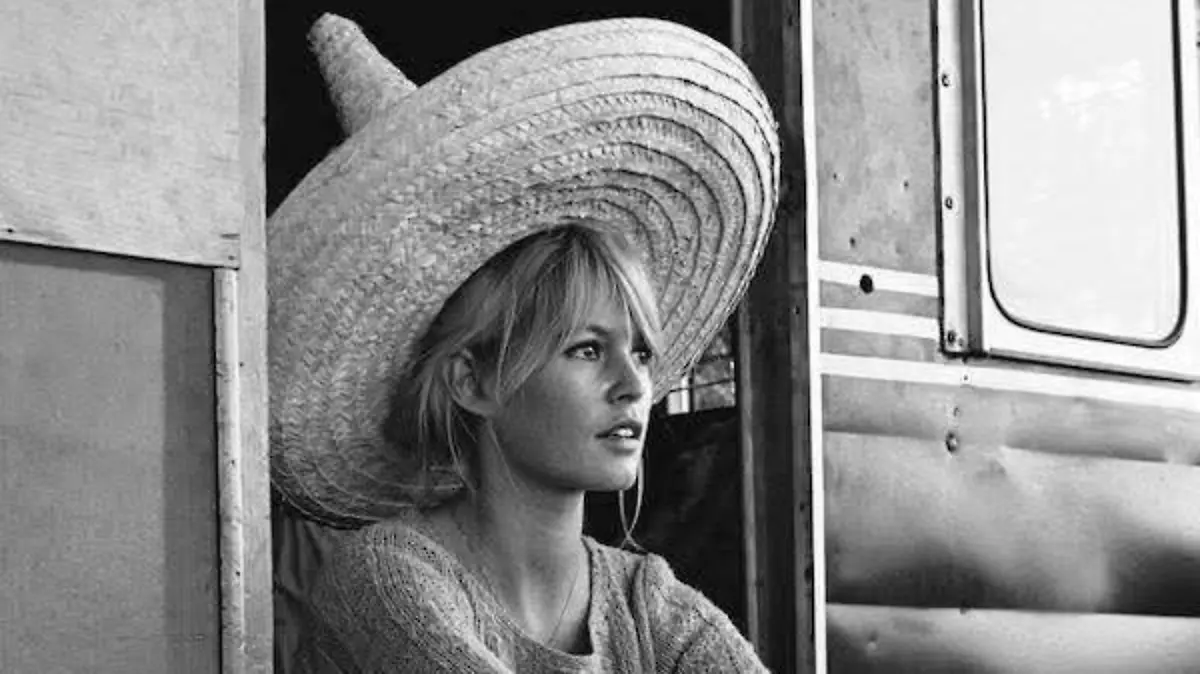 WhatsApp Image 2025-12-28 at 2.36.27 PM