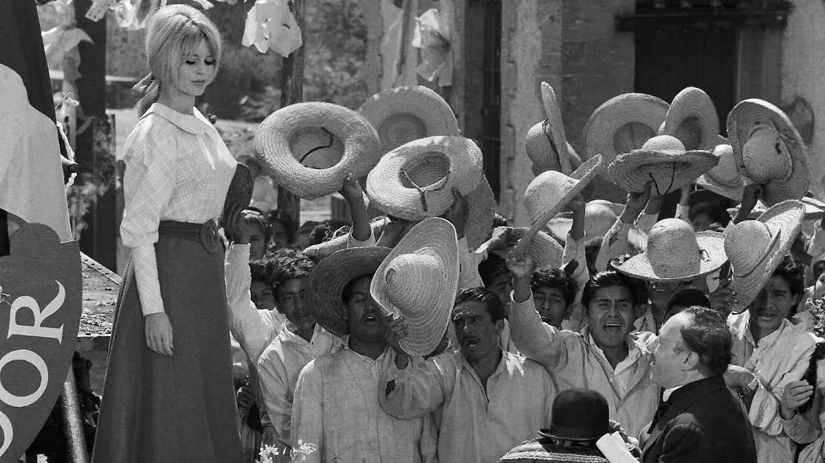 WhatsApp Image 2025-12-28 at 3.40.16 PM