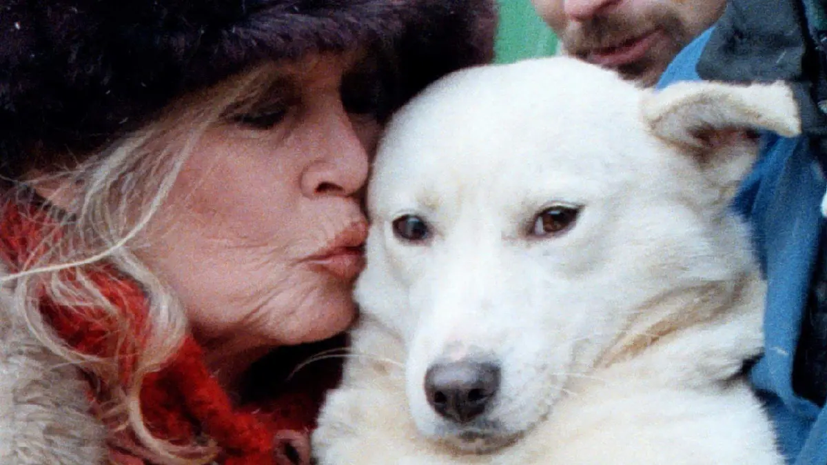 2025-12-28T102406Z_1708250702_RC2MPIAMHTJF_RTRMADP_3_PEOPLE-BRIGITTE-BARDOT