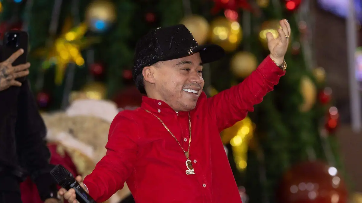 1056401_Abelito, encendido árbol_web