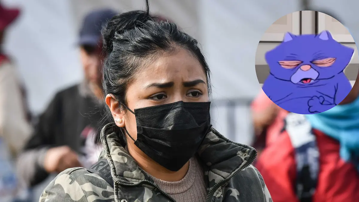 Enfermedades respiratorias