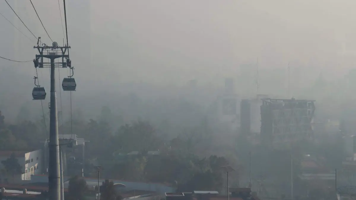 WhatsApp Image 2026-01-01 at 9.04.28 AM