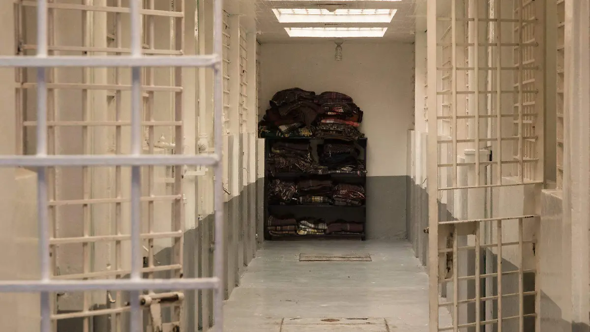 739251_Cena Fin Año Torito_web