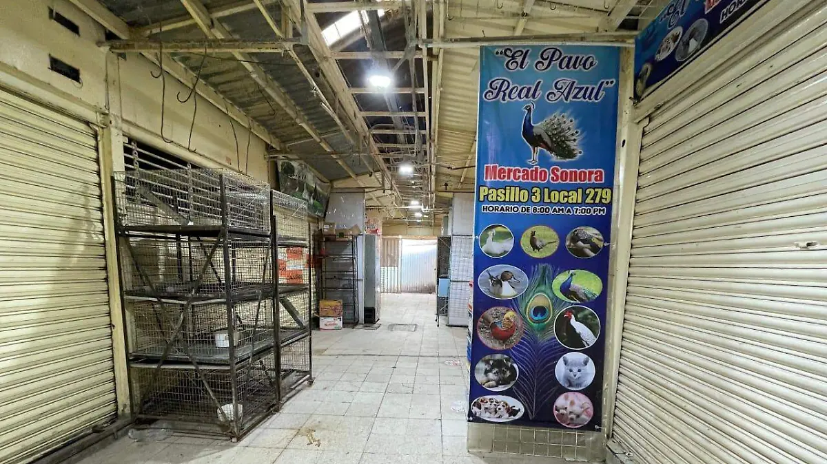 MERCADO SONORA ROMINA SOLIS (1)