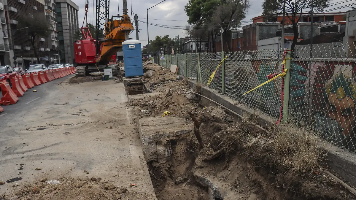 Tala de arboles calzada flotante de Tlalpan (1)