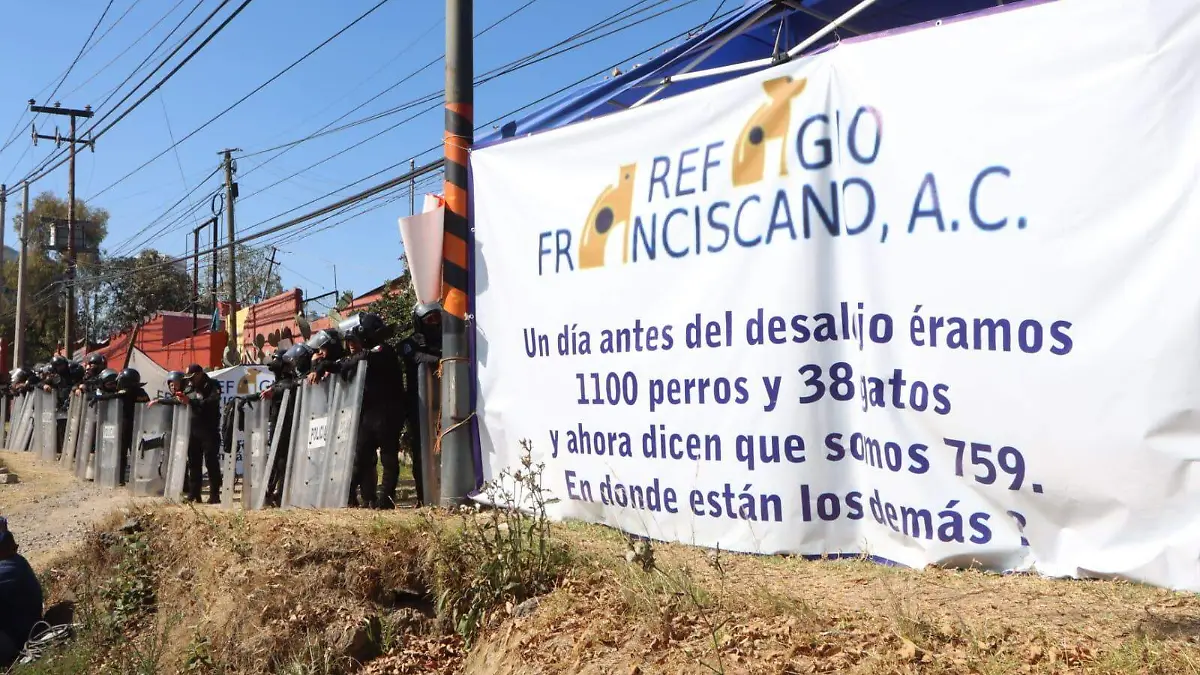 WhatsApp Image 2026-01-07 at 12.10.14 PM