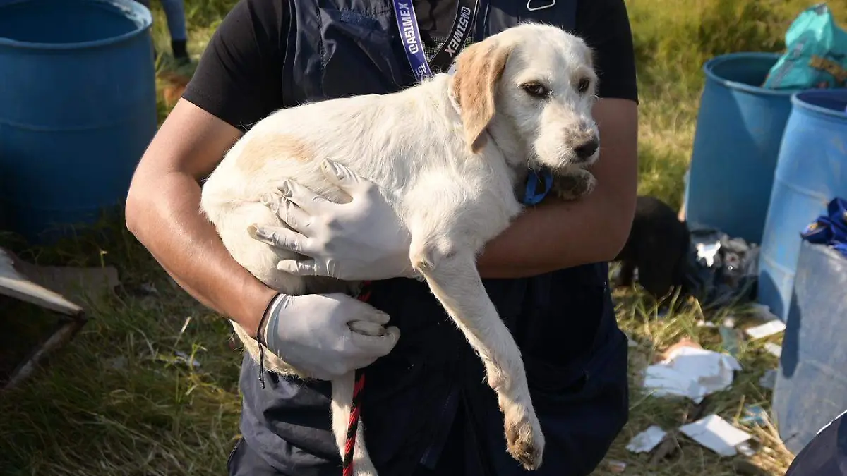 WhatsApp Image 2026-01-07 at 17.07.44 (1)