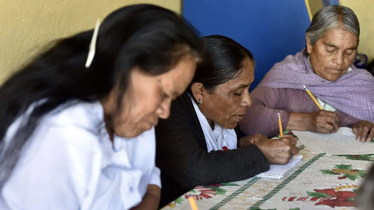 698067_Alfabetización indígena _web