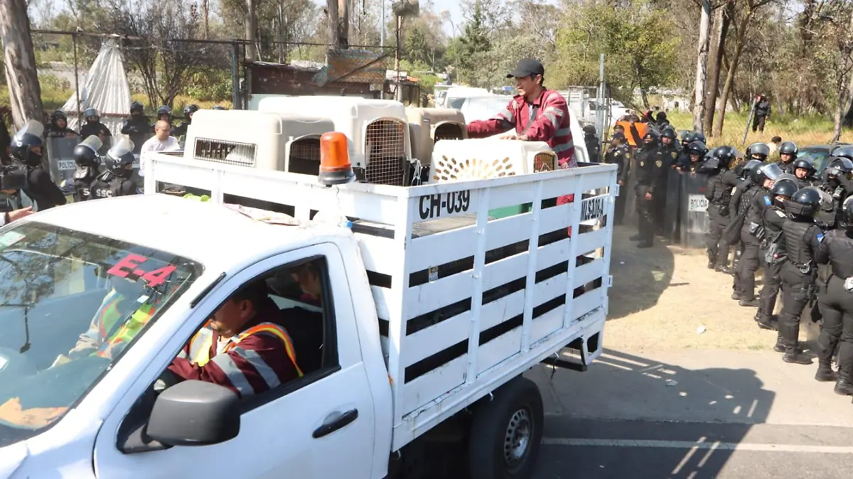 LUIS BARRERA LA PRENSA  (3)