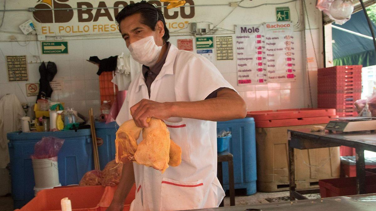 BRASIL AHOGA AL POLLO MEXICANO