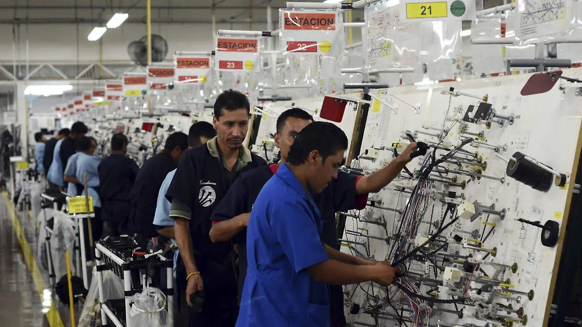 469215_Delphi Cableados_web