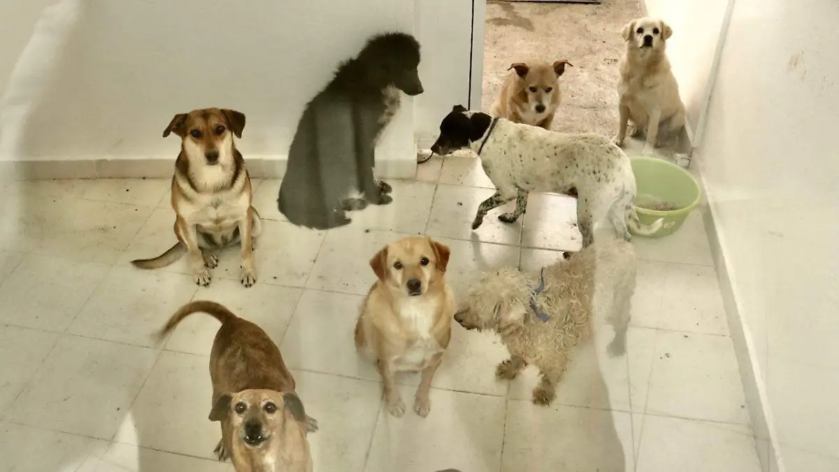 WhatsApp Image 2026-01-08 at 3.37.05 PM