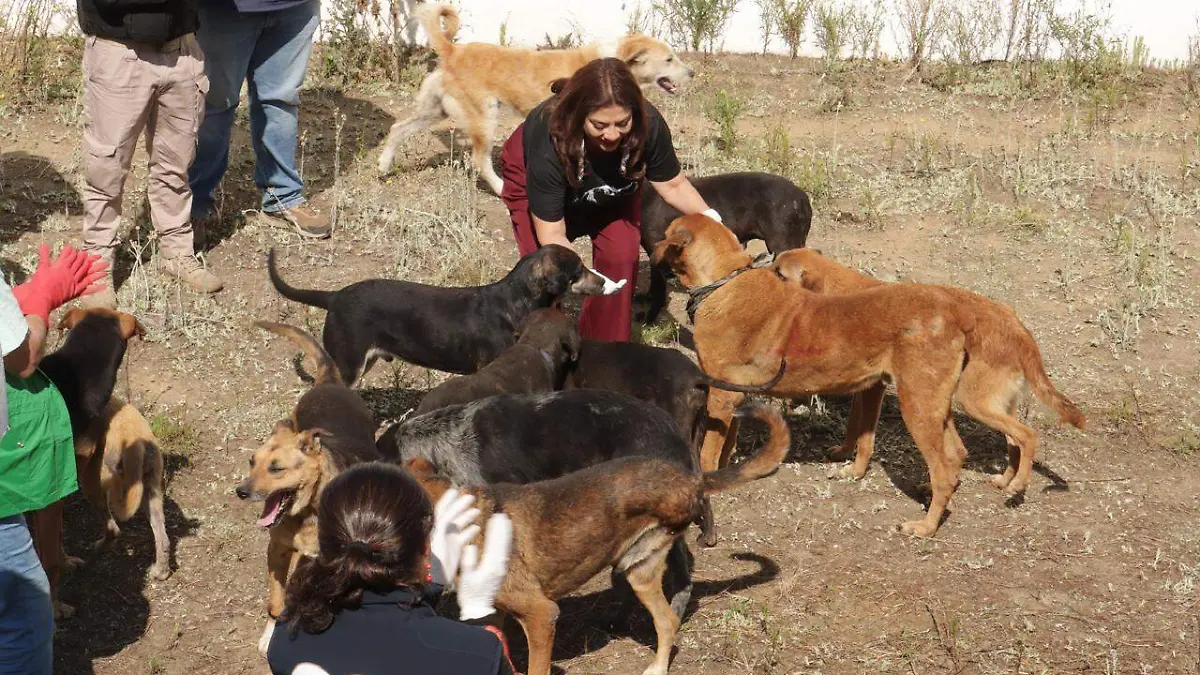 WhatsApp Image 2026-01-08 at 3.37.01 PM