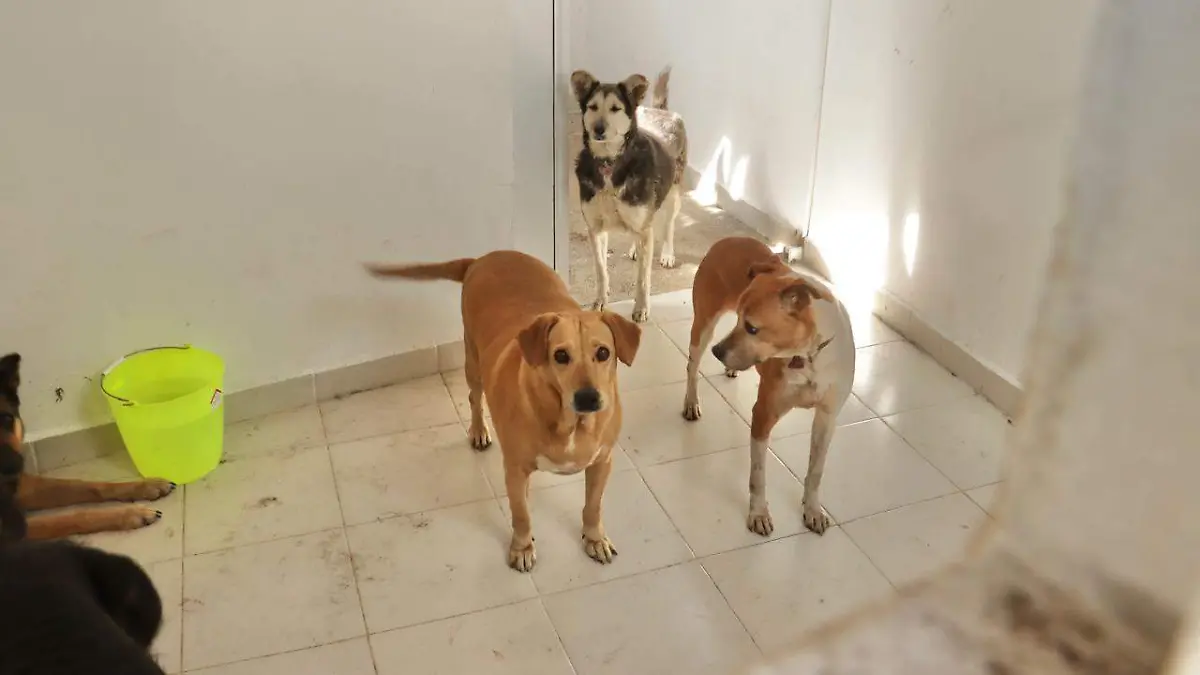 WhatsApp Image 2026-01-08 at 3.37.08 PM