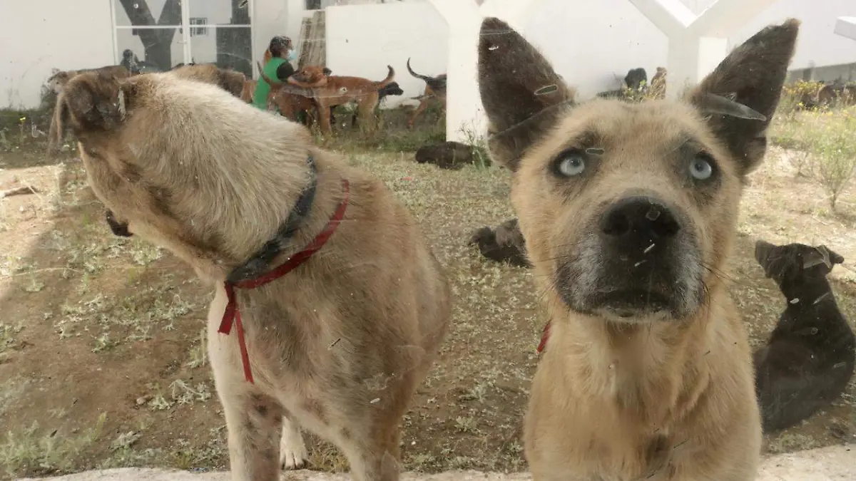 WhatsApp Image 2026-01-08 at 3.37.08 PM (1)