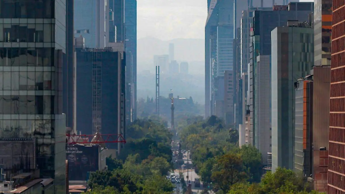 36ea6722-92a0-4153-9ed1-b9e110b1ed9e