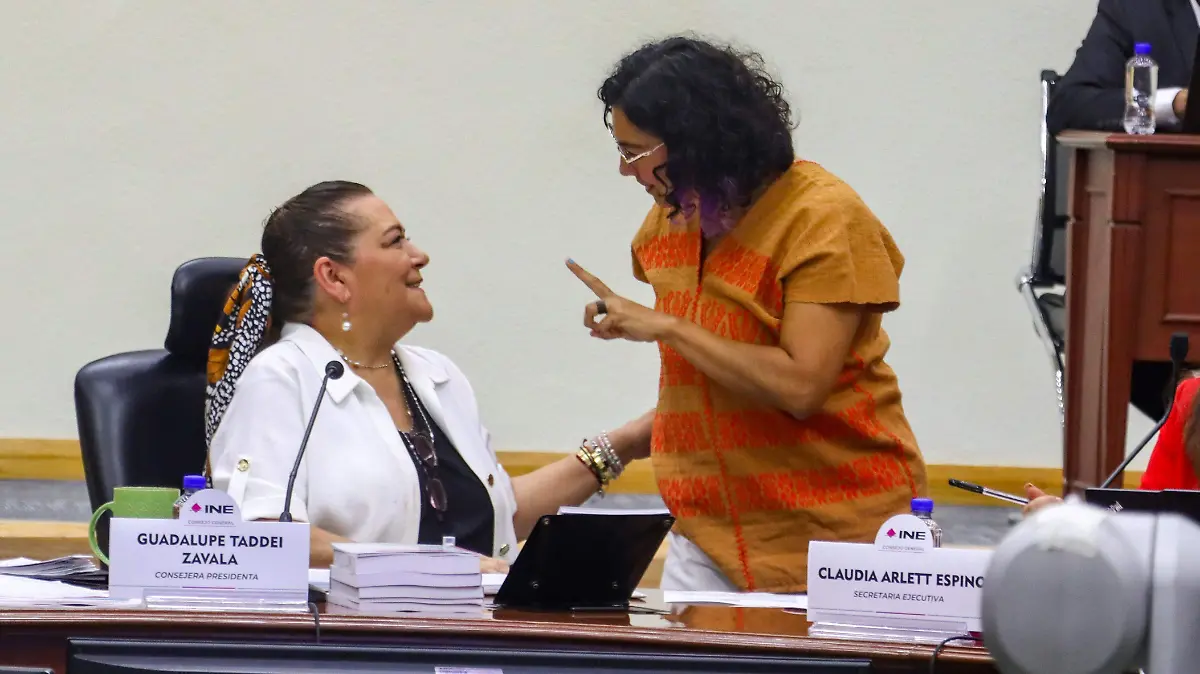 6115194- SESION-ORDINARIA-INE-romina solis-10