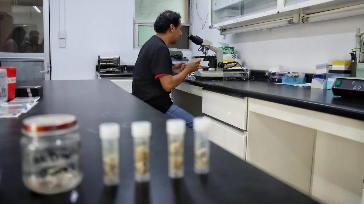 Zoológicos de la CdMx logran el nacimiento de mil 252 animales en cinco años