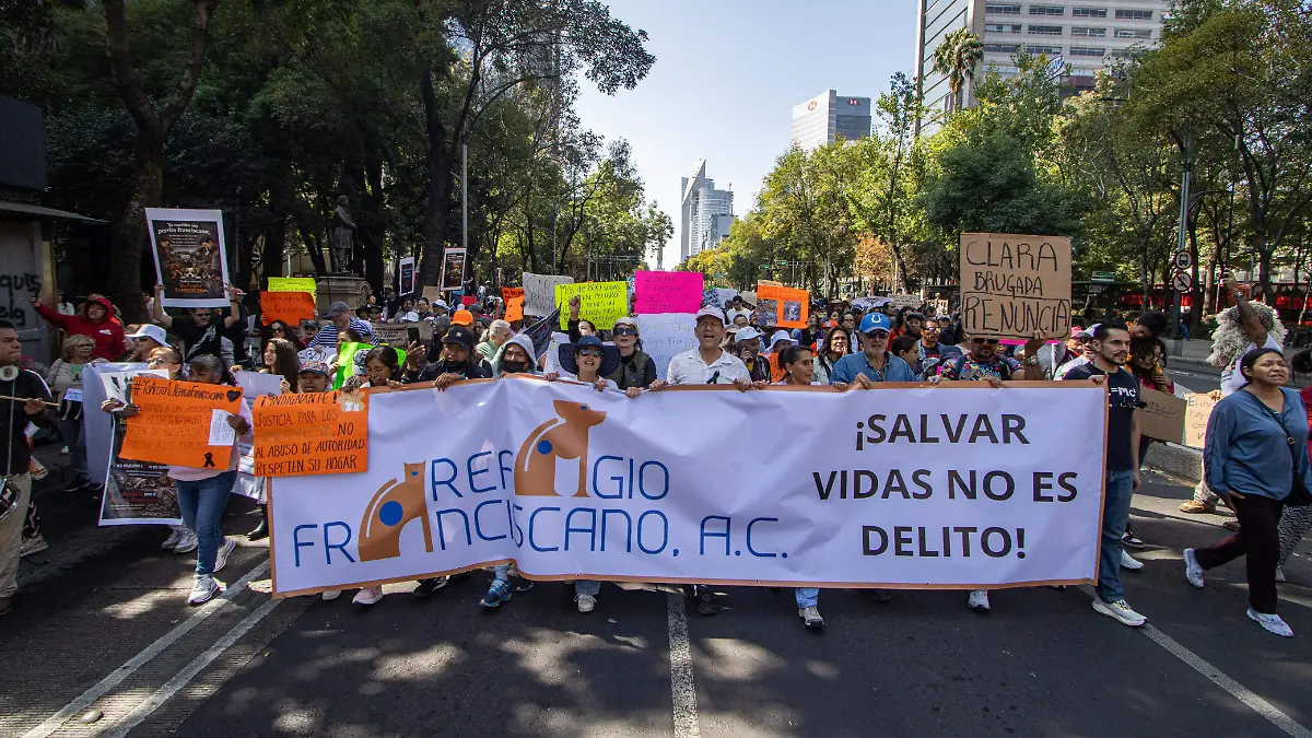 WhatsApp Image 2026-01-11 at 1.14.40 PM