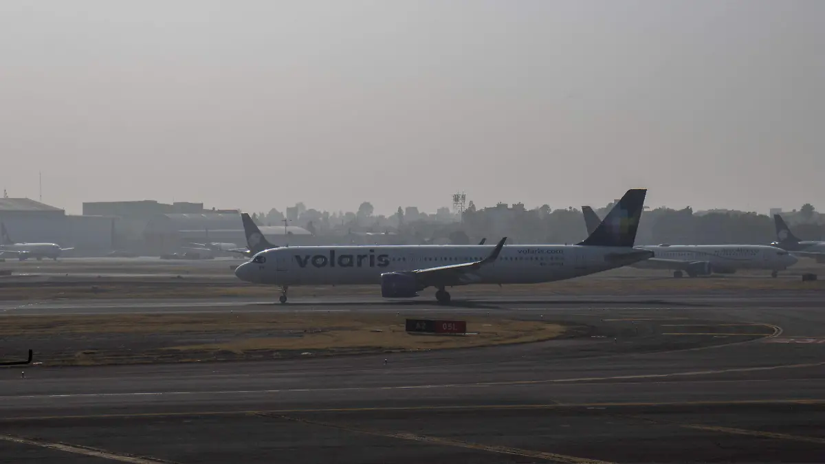 WhatsApp Image 2026-01-12 at 10.20.02 AM