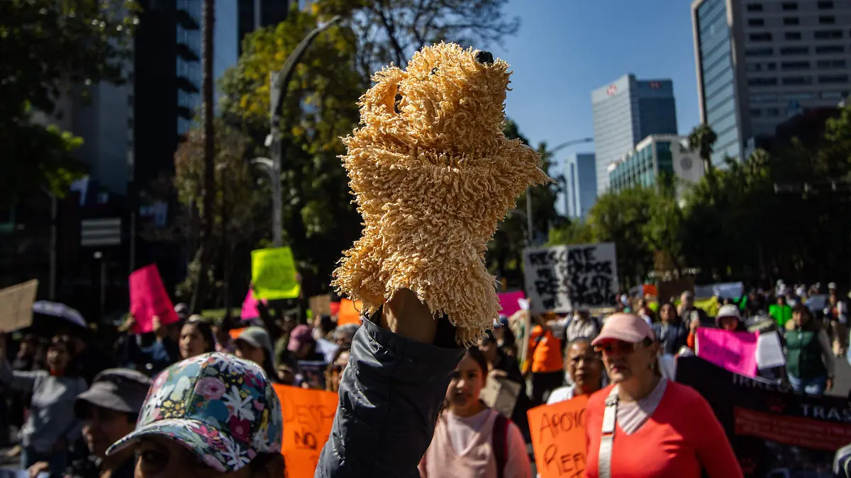 WhatsApp Image 2026-01-11 at 1.14.34 PM