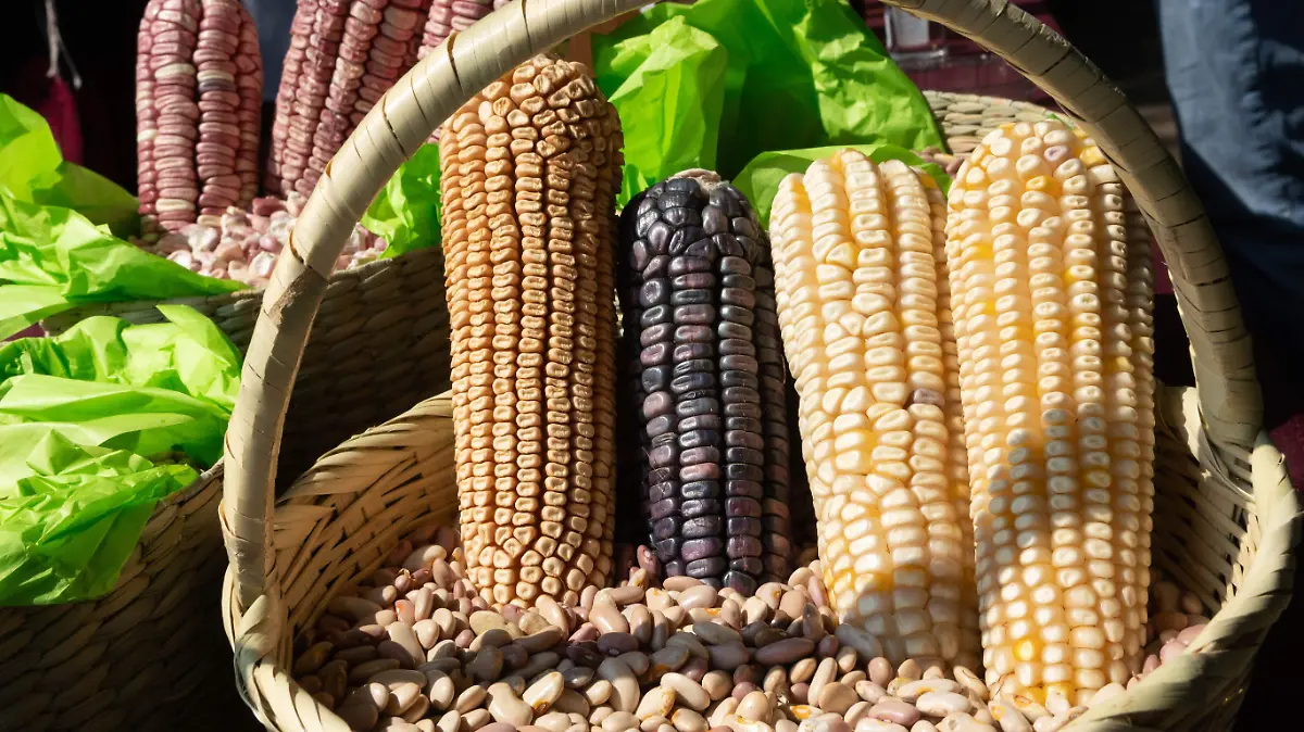 04 INT CHICA 1060068_Productores de Michoacán_impreso