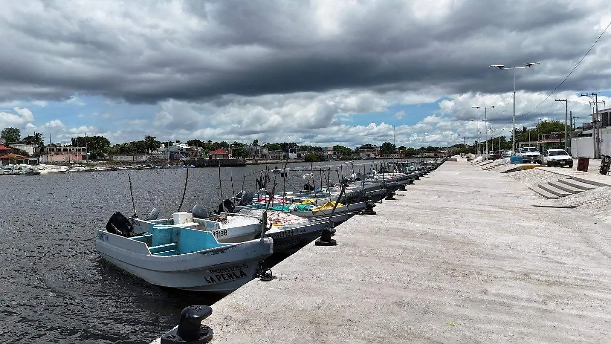 WhatsApp Image 2026-01-13 at 12.07.33 PM