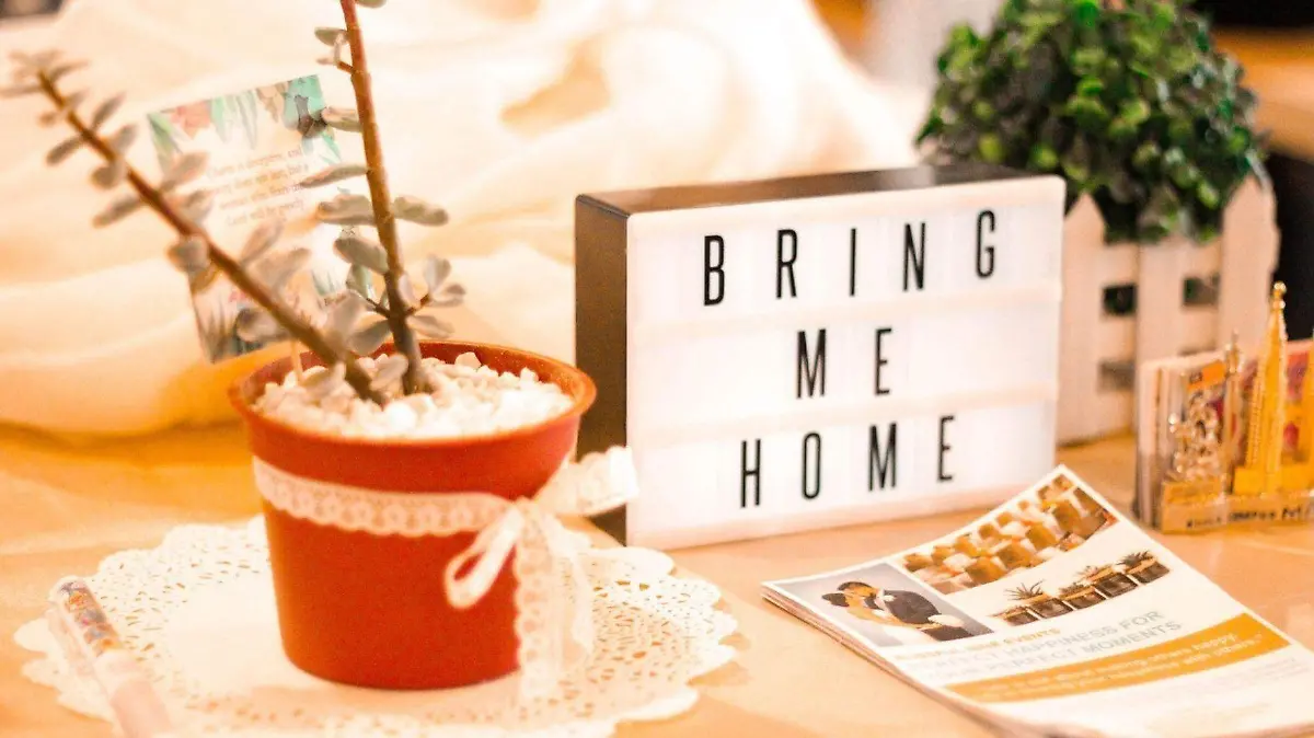 Oportunidad para mostrar la riqueza territorial, diversidad y capacidad de desarrollo económico.