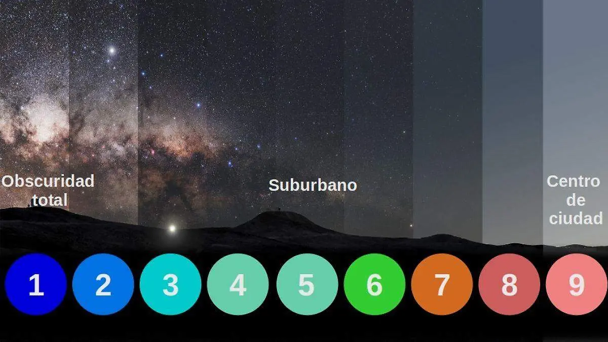 Diseño sin título