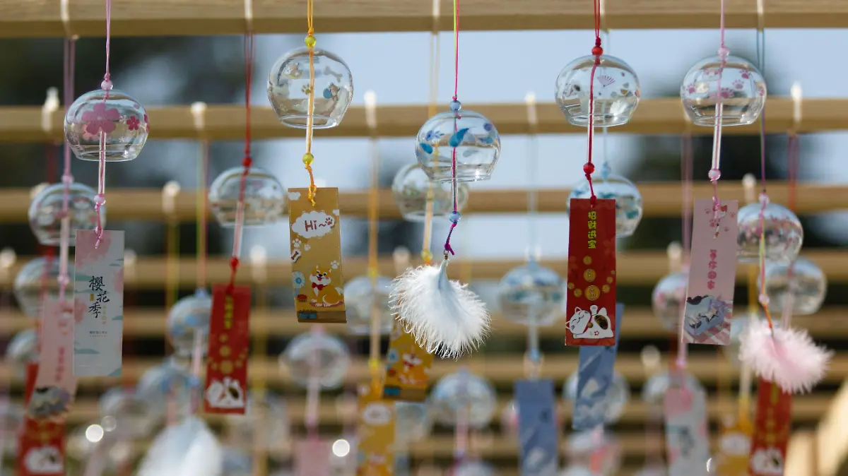 902819_Japan Fest CDMX_impreso