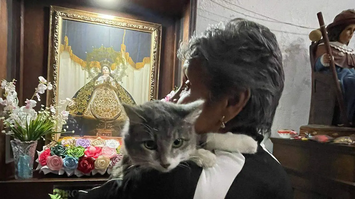 WhatsApp Image 2026-01-17 at 6.53.08 PM