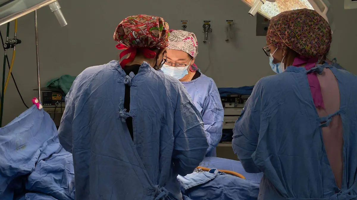 1062650_Primer Nacimiento 2026_web