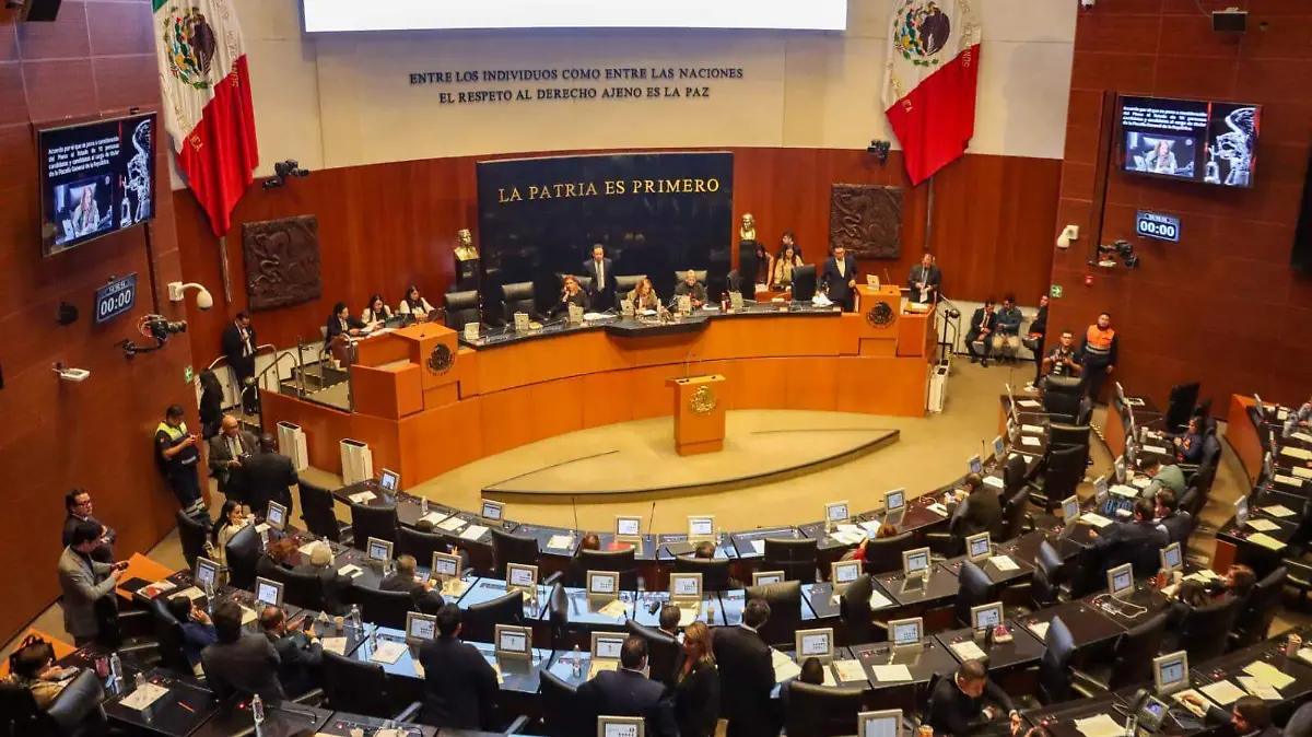 WhatsApp Image 2026-01-19 at 1.37.06 PM