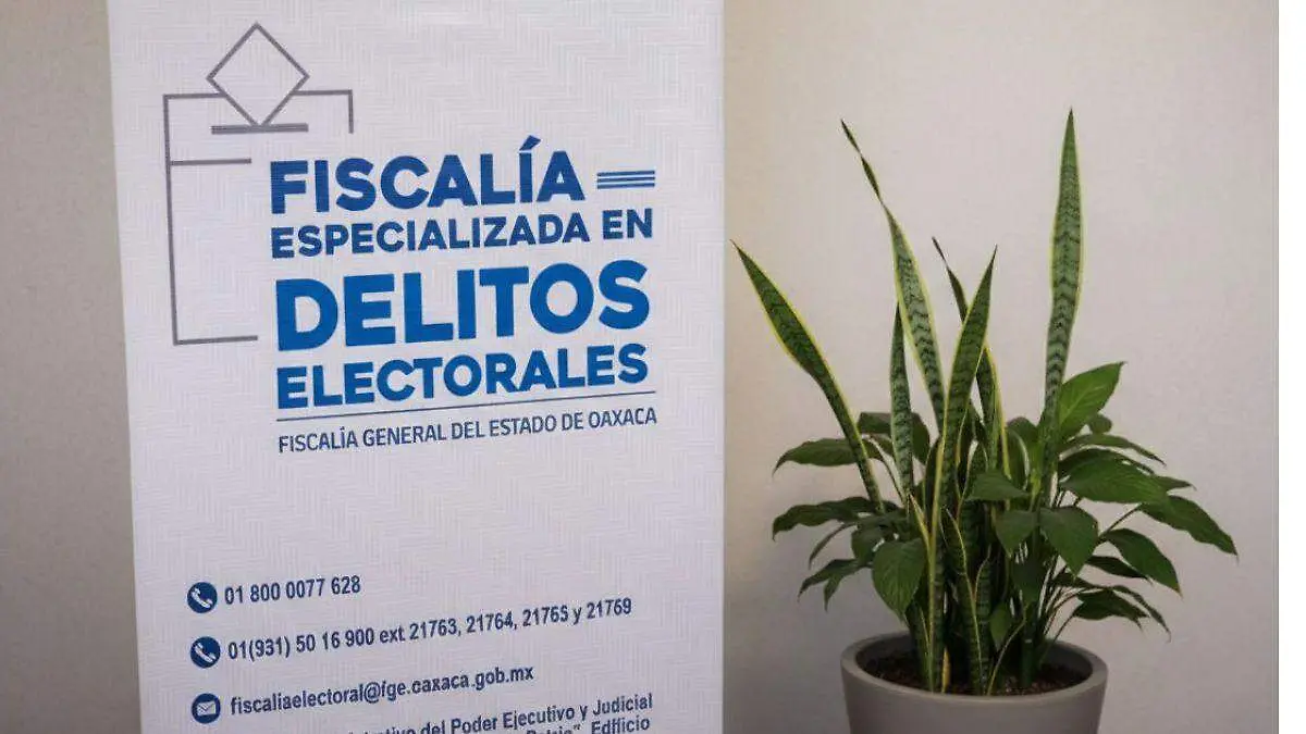 fiswcalia especializada en delitos electorales oaxaca
