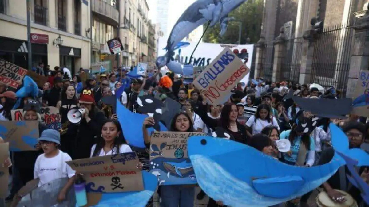 Protesta en México contra proyectos de combustibles fósil y en defensa de las ballenas. Foto- cortesía Nuestro Futuro