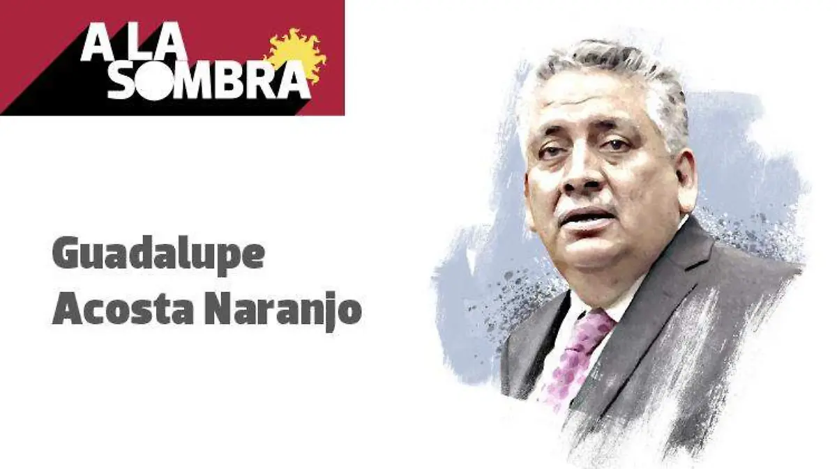 Guadalupe Acosta Naranjo SOMBRA