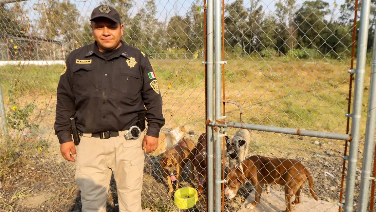 BRIGADA DE VIGILANCIA ANIMAL 1