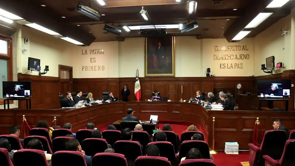 WhatsApp Image 2026-01-20 at 1.13.33 PM