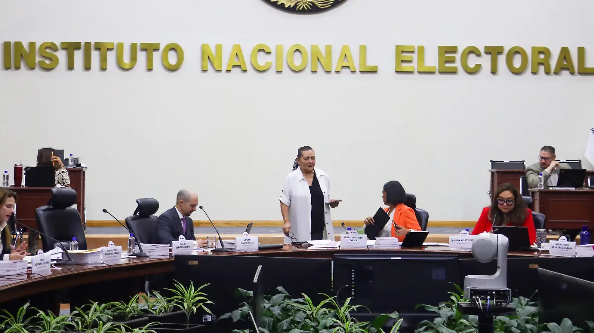 6115196- SESION-ORDINARIA-INE-romina solis-19