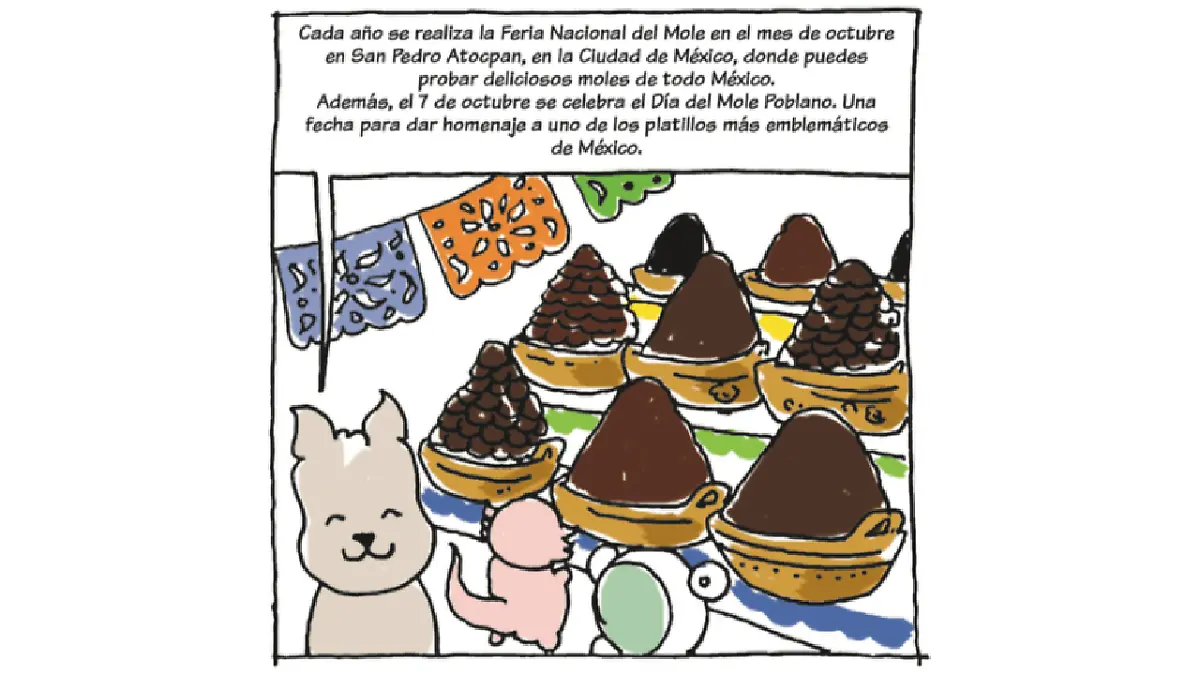 pedacitos mole 13.png