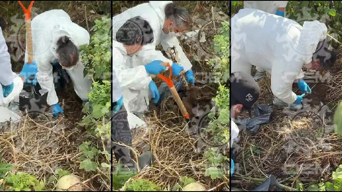 REFUGIO FRANCISCANO RESTOS DE PERROS cortesia fgjcdmx 1