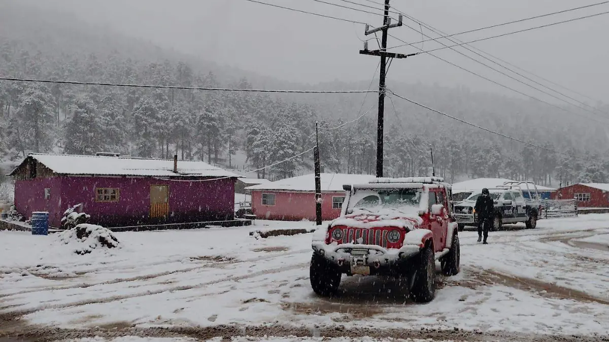 WhatsApp Image 2026-01-24 at 4.57.37 PM