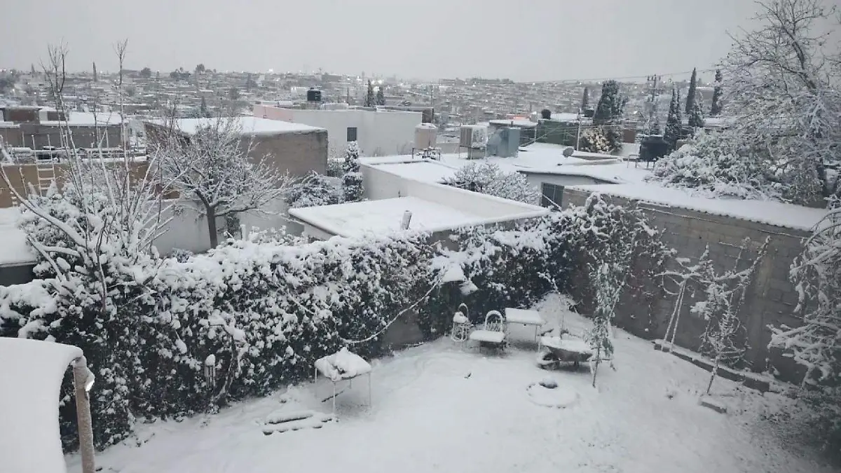 1013965_Nevada en Chihuahua_web