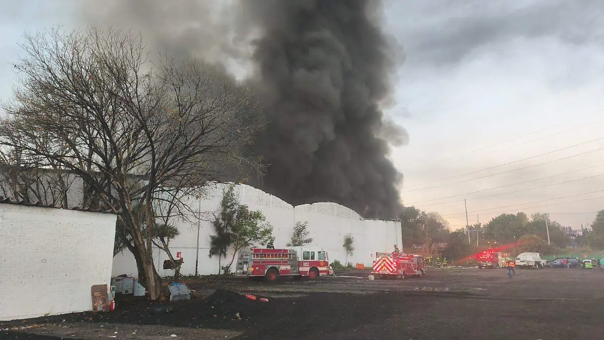 WhatsApp Image 2026-01-25 at 11.30.02 AM