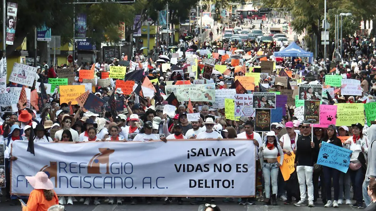 WhatsApp Image 2026-01-25 at 2.43.21 PM