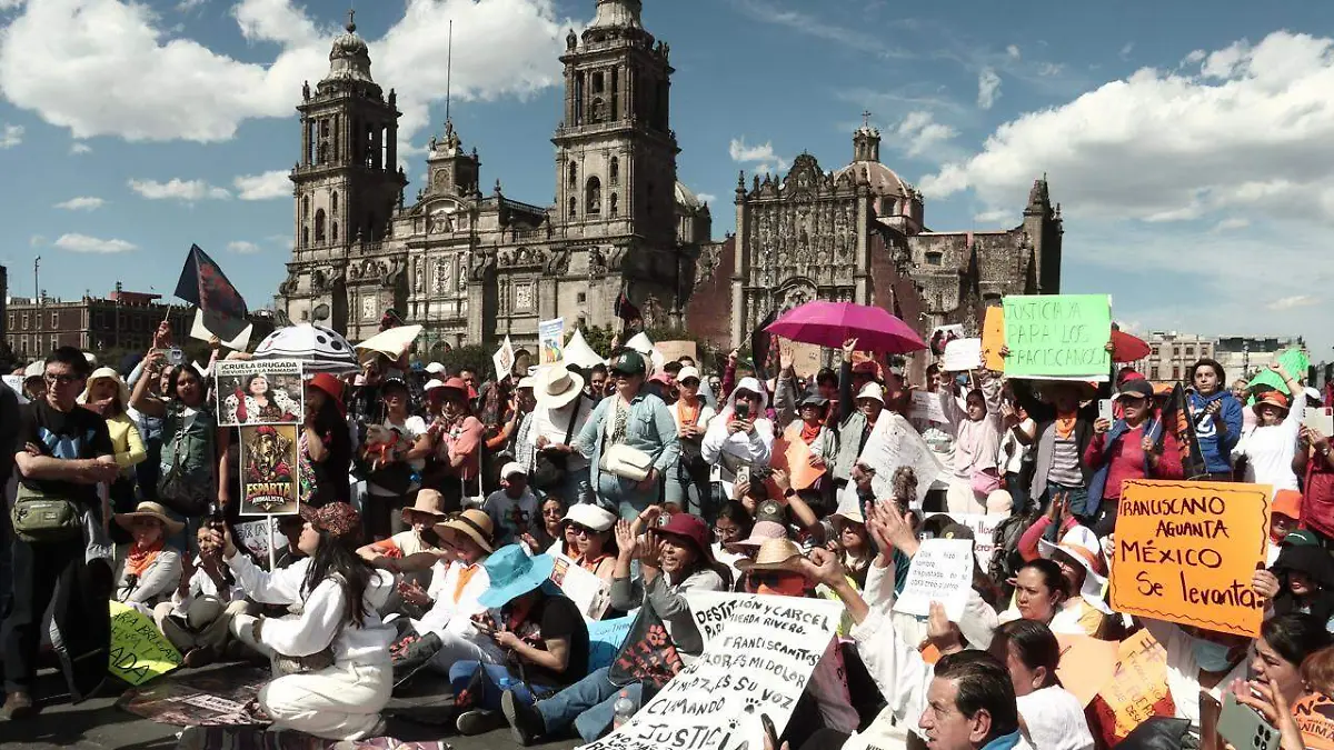 WhatsApp Image 2026-01-25 at 2.43.24 PM