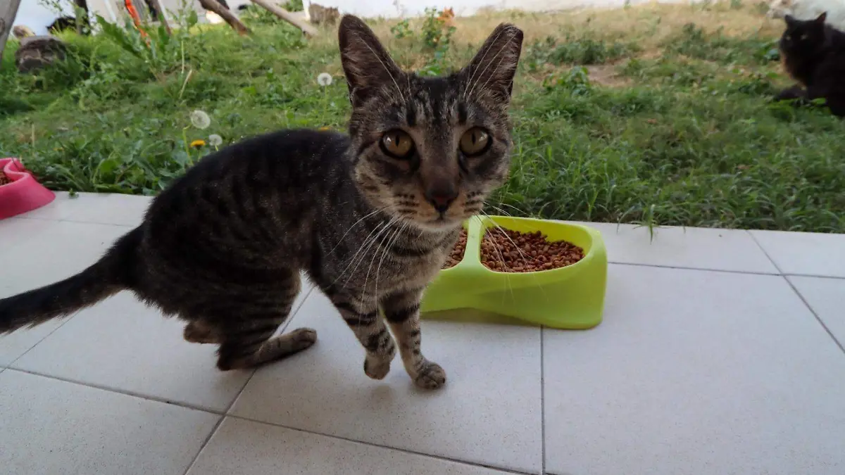 WhatsApp Image 2026-01-25 at 16.06.49