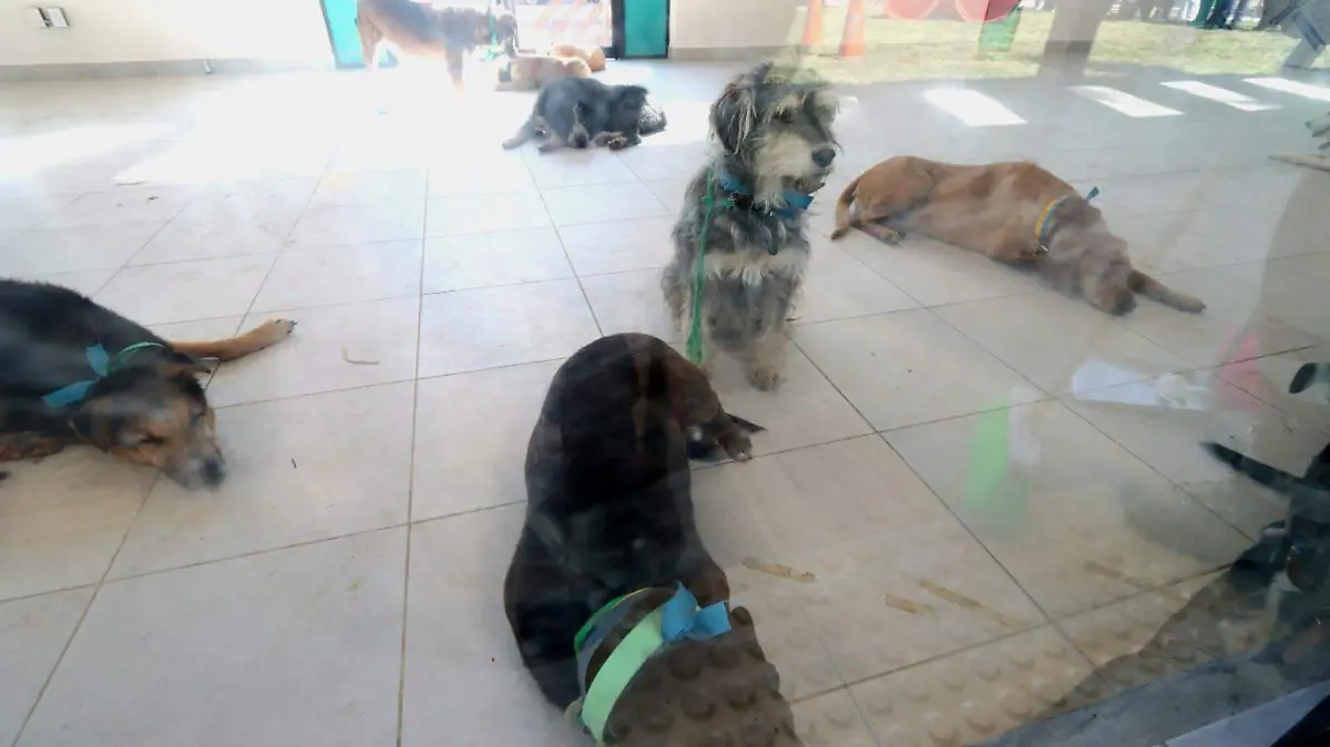 WhatsApp Image 2026-01-13 at 3.36.44 PM